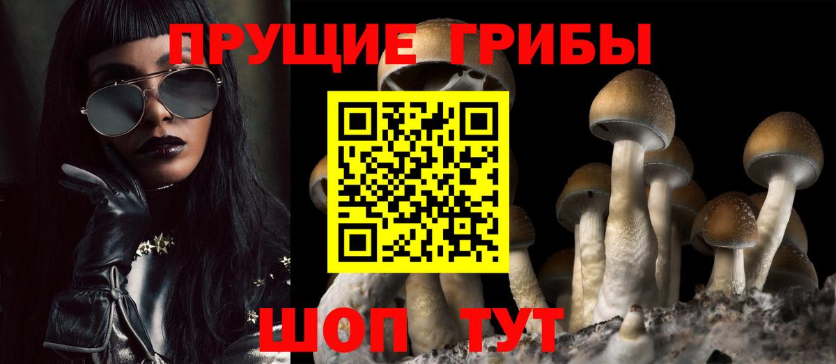 Галлюциногенные грибы Psilocybine cubensis Нерюнгри