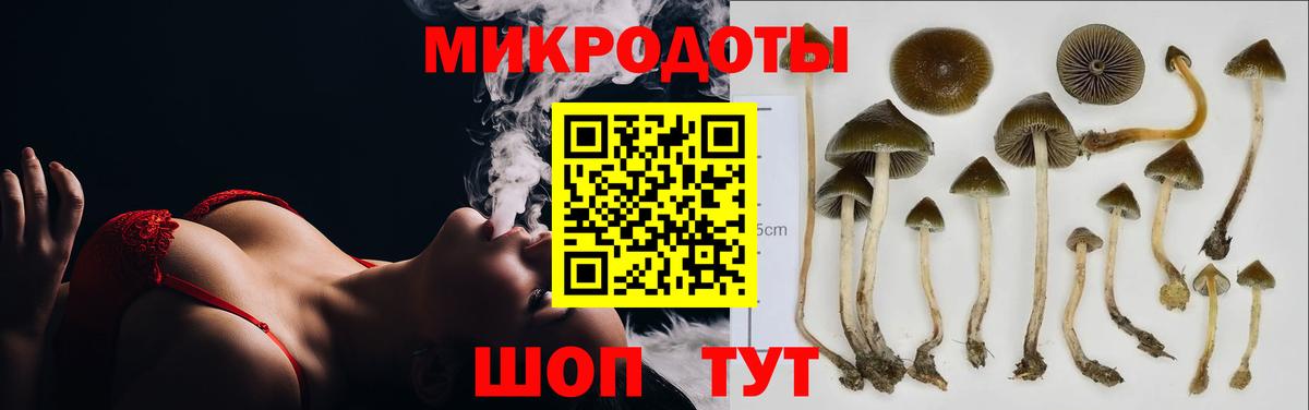 Нерюнгри  Псилоцибиновые грибы Magic Shrooms  Псилоцибиновые грибы прущие грибы  Вход с VPN 